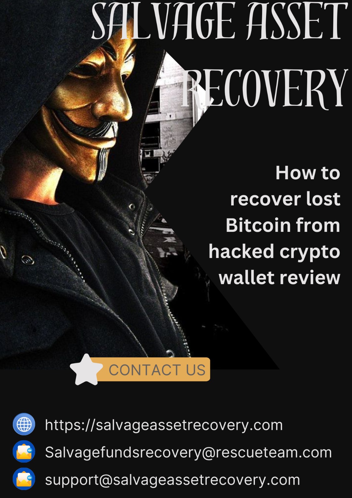 HIRE A  STANDARD BITCOIN  RECOVERY COMPANY → VISIT SALVAGE ASSET RECOVERY