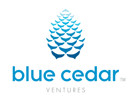 Blue Cedar Ventures